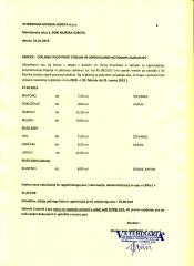 Steklina 2019 Beltinci